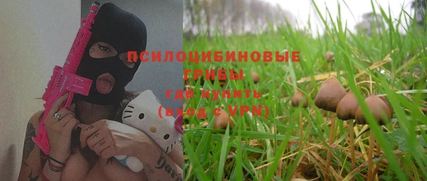 соль курить ск Белокуриха