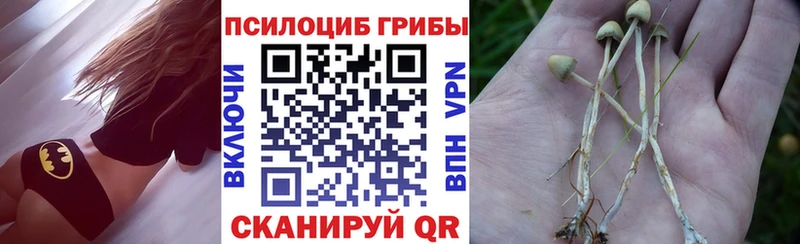 omg как войти Бузулук Псилоцибиновые грибы Psilocybe